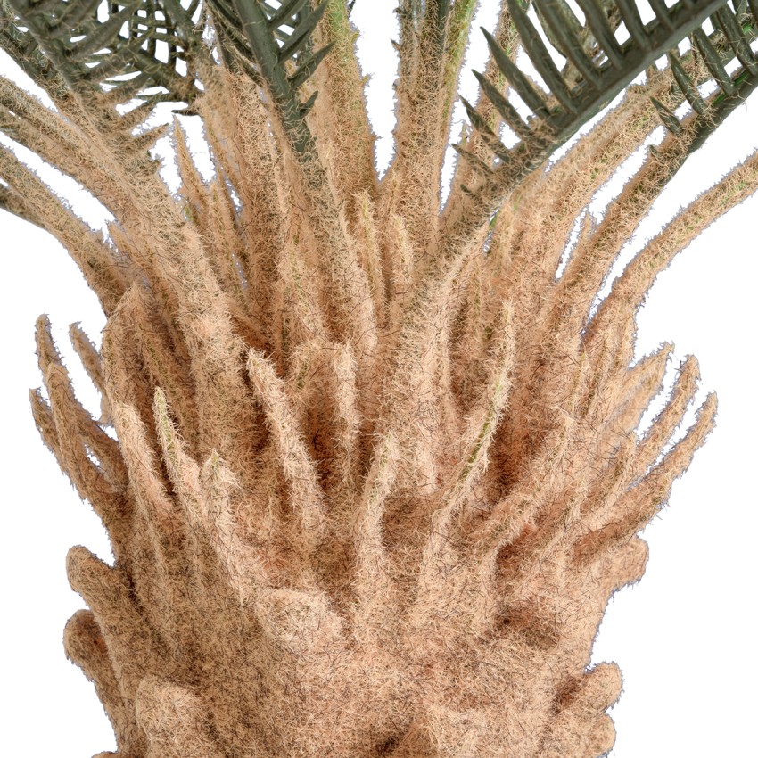 Τεχνητός Κήπος CYCADS  Τεχνητό Διακοσμητικό Φυτό Αρωματική Κύκας Υ120cm