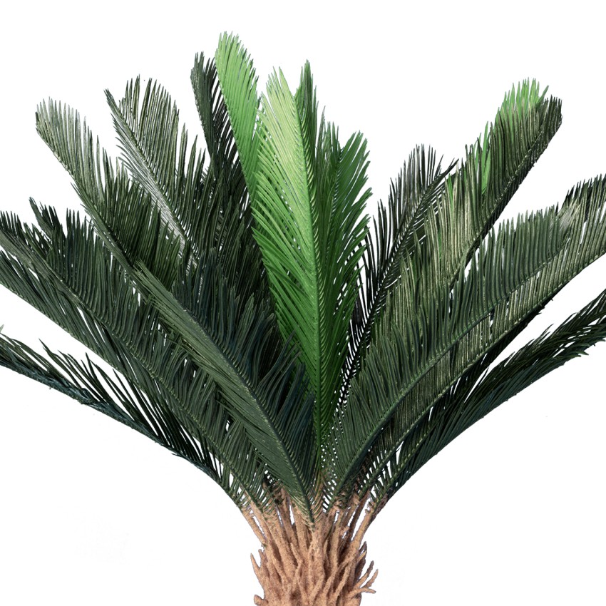 Τεχνητός Κήπος CYCADS  Τεχνητό Διακοσμητικό Φυτό Αρωματική Κύκας Υ140cm