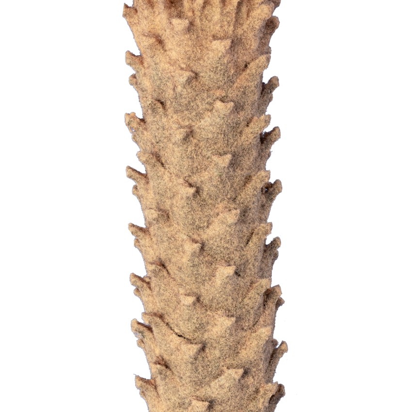 Τεχνητός Κήπος CYCADS  Τεχνητό Διακοσμητικό Φυτό Αρωματική Κύκας Υ140cm