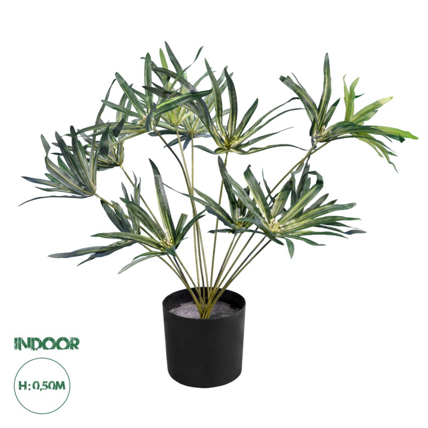 Τεχνητός Κήπος BROADLEAF LADY PALM  Τεχνητό Διακοσμητικό Φυτό Πλατύφυλλος Φοίνικας Μπαμπού Υ50cm