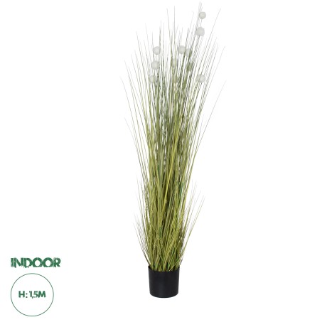 Τεχνητός Κήπος ERIOPHORUM ANGUSTIFOLIUM COTTON GRASS  Τεχνητό Διακοσμητικό Φυτό Γρασίδι του Βαμβακιού Υ150cm