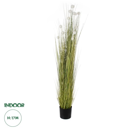 Τεχνητός Κήπος ERIOPHORUM ANGUSTIFOLIUM COTTON GRASS  Τεχνητό Διακοσμητικό Φυτό Γρασίδι του Βαμβακιού Υ170cm