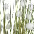 Τεχνητός Κήπος ERIOPHORUM ANGUSTIFOLIUM COTTON GRASS  Τεχνητό Διακοσμητικό Φυτό Γρασίδι του Βαμβακιού Υ170cm