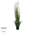 Τεχνητός Κήπος PAMPAS GRASS  Τεχνητό Διακοσμητικό Φυτό Γρασίδι της Πάμπας Υ150cm