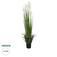 Τεχνητός Κήπος PAMPAS GRASS  Τεχνητό Διακοσμητικό Φυτό Γρασίδι της Πάμπας Υ150cm