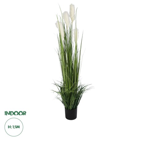 Τεχνητός Κήπος PAMPAS GRASS  Τεχνητό Διακοσμητικό Φυτό Γρασίδι της Πάμπας Υ150cm