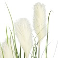 Τεχνητός Κήπος PAMPAS GRASS  Τεχνητό Διακοσμητικό Φυτό Γρασίδι της Πάμπας Υ150cm