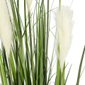 Τεχνητός Κήπος PAMPAS GRASS  Τεχνητό Διακοσμητικό Φυτό Γρασίδι της Πάμπας Υ150cm