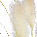 Τεχνητός Κήπος PAMPAS GRASS  Τεχνητό Διακοσμητικό Φυτό Γρασίδι της Πάμπας Υ150cm