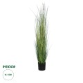 Τεχνητός Κήπος LAGURUS GRASS  Τεχνητό Διακοσμητικό Φυτό Λαγοουρά Υ150cm