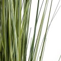 Τεχνητός Κήπος LAGURUS GRASS  Τεχνητό Διακοσμητικό Φυτό Λαγοουρά Υ150cm