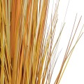 Τεχνητός Κήπος BUCHANAN'S SEDGE GRASS  Τεχνητό Διακοσμητικό Φυτό Γρασίδι του Μπουχανάν Υ120cm