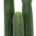 Τεχνητός Κήπος CARNEGIEA CACTUS  Τεχνητό Διακοσμητικό Φυτό Κάκτος Σαγκουάρο Υ160cm
