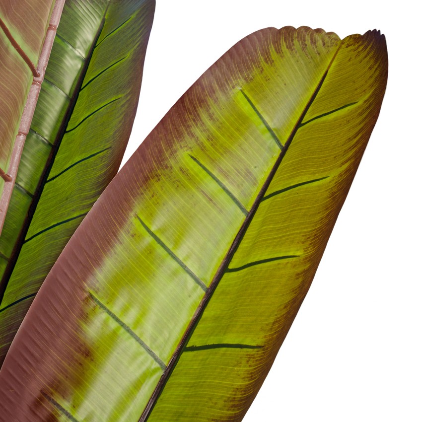 Τεχνητός Κήπος BLOODY BANANA TREE  - Τεχνητό Διακοσμητικό Φυτό Αιματόφυλλη Μπανανιά - Μπανανόδεντρο Υ190cm