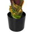 Τεχνητός Κήπος BLOODY BANANA TREE  - Τεχνητό Διακοσμητικό Φυτό Αιματόφυλλη Μπανανιά - Μπανανόδεντρο Υ190cm