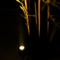 GLOBOSTAR® TREEGAL  Φωτιστικό Σποτ για Φυτά - Δέντρα με Βάση Μπετού & Κορμού LED 3W 315lm 15° DC 24V Αδιάβροχο IP67 Ultra Θερμό Λευκό 2200K Dimmable - Bridgelux SMD Chip - Γκρι Ανθρακί - Μ5 x Π5 x Υ14.7cm