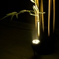 GLOBOSTAR® TREELIGHT-TREESPO  Σποτ Φωτισμού για Φυτά - Δέντρα LED 6W 660lm 15° DC 24V Αδιάβροχο IP65 Θερμό Λευκό 2700K Dimmable - Γκρι Ανθρακί - Μ6.6 x Π9 x Υ12cm