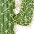 Τεχνητός Κήπος CARNEGIEA CACTUS  Τεχνητό Διακοσμητικό Φυτό Κάκτος Σαγκουάρο Υ150cm
