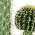 Τεχνητός Κήπος CARNEGIEA CACTUS  Τεχνητό Διακοσμητικό Φυτό Κάκτος Σαγκουάρο Υ150cm