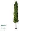 Τεχνητός Κήπος BUXUS  Τεχνητό Διακοσμητικό Φυτό Πυξός Υ250cm