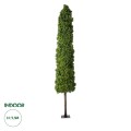 Τεχνητός Κήπος BUXUS  Τεχνητό Διακοσμητικό Φυτό Πυξός Υ250cm