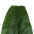 Τεχνητός Κήπος BANANA TREE LEAF  - Τεχνητό Διακοσμητικό Φύλο Μπανανιάς - Μπανανόδεντρου Π30 x Υ100cm
