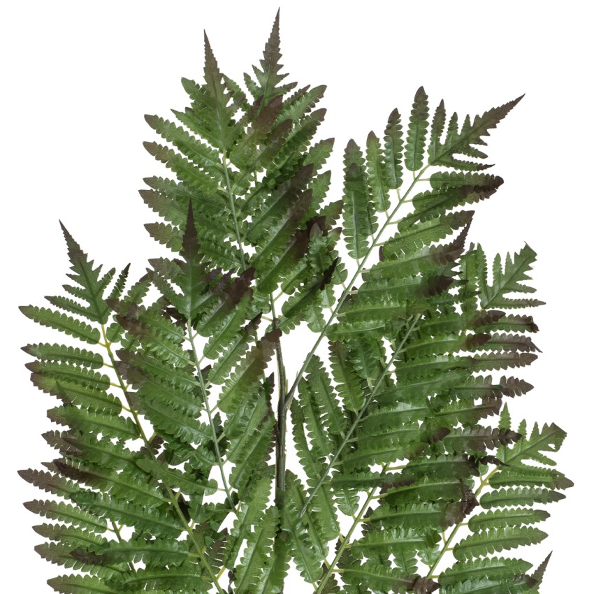 Τεχνητός Κήπος ALSOPHILA FERN LEAF  Τεχνητό Διακοσμητικό Φύλο Φτέρης Π60 x Υ180cm