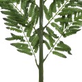 Τεχνητός Κήπος ALSOPHILA FERN LEAF  Τεχνητό Διακοσμητικό Φύλο Φτέρης Π60 x Υ180cm