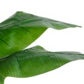 Τεχνητός Κήπος BANANA STRELITZIA REGINAE  - Τεχνητό Διακοσμητικό Φυτό  Μπανανιά - Στρελίτσια - Πουλί του Παραδείσου Υ230cm