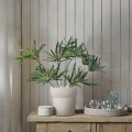 Τεχνητός Κήπος BROADLEAF LADY PALM  Τεχνητό Διακοσμητικό Φυτό Πλατύφυλλος Φοίνικας Μπαμπού Υ50cm