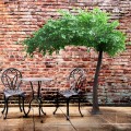Τεχνητός Κήπος BANYAN FICUS TREE  Τεχνητό Διακοσμητικό Δέντρο Ινδική Συκιά Φίκος Υ320cm