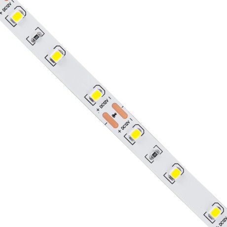 GLOBOSTAR® LILAC  Ταινία LED 6W/m 660lm/m 120° DC 12V IP20 60 x SMD2835 Chip/m Ψυχρό Λευκό 6000K Dimmable - Μ500 x Π0.8 x Υ0.1cm - Ρολό 5 Μέτρων