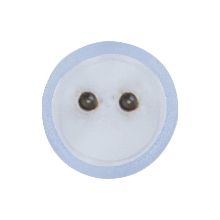 Σύνδεσμος I με Καρφάκια για Μονόχρωμο Φωτοσωλήνα LED 360° Degree 2 Pin