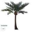Τεχνητός Κήπος COCONUT PALM TREE  Τεχνητό Διακοσμητικό Φοινικόδεντρο Κοκοφοίνικας Εξωτερικού Χώρου IP68 UV Certified Protection Υ400cm