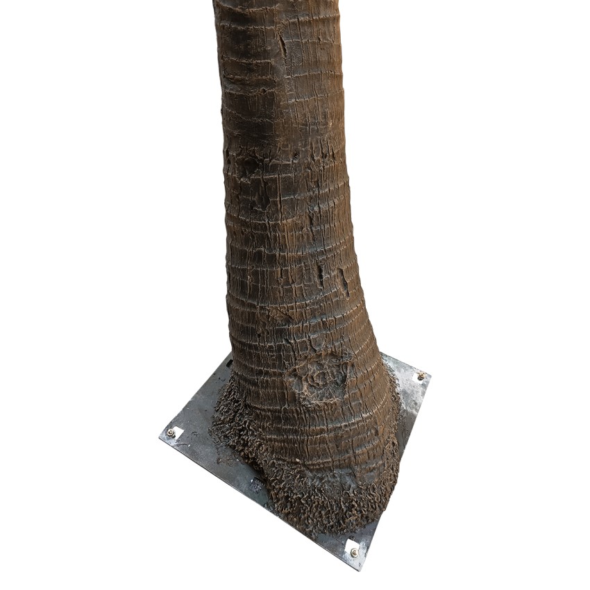 Τεχνητός Κήπος COCONUT PALM TREE  Τεχνητό Διακοσμητικό Φοινικόδεντρο Κοκοφοίνικας Εξωτερικού Χώρου IP68 UV Certified Protection Υ400cm