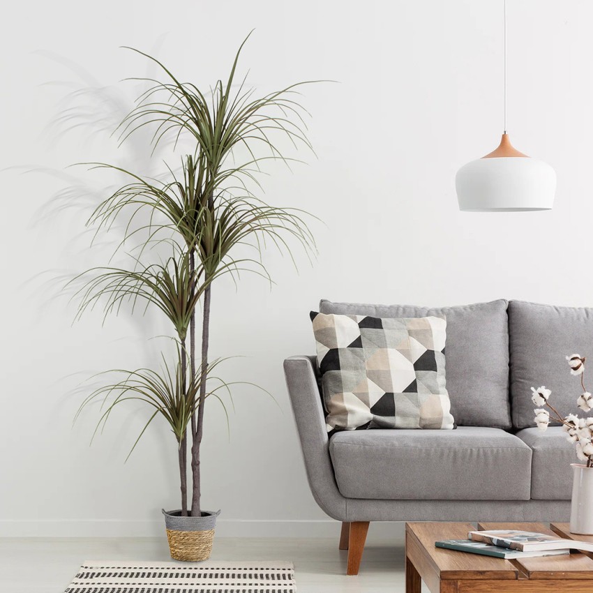 Τεχνητός Κήπος DRAGON BLOOD TREE  - Τεχνητό Διακοσμητικό Φυτό Δράκαινα Υ180cm