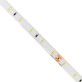 GLOBOSTAR® LILAC  Ταινία LED 6W/m 540lm/m 120° DC 24V Αδιάβροχη IP65 60 x SMD2835 Chip/m Θερμό Λευκό 2700K Dimmable - Μ500 x Π0.8 x Υ0.2cm - Ρολό 5 Μέτρων
