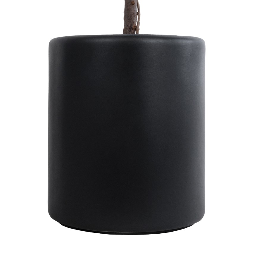 Τεχνητός Κήπος PUEBLA Διακοσμητικό Πολυεστερικό Τσιμεντένιο Κασπώ Γλάστρα - Μαύρο Φ41 x Υ46cm Τεχνητός Κήπος PUEBLA Διακοσμητικό Πολυεστερικό Τσιμεντένιο Κασπώ Γλάστρα - Μαύρο Φ41 x Υ46cm