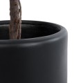 Τεχνητός Κήπος PUEBLA Διακοσμητικό Πολυεστερικό Τσιμεντένιο Κασπώ Γλάστρα - Μαύρο Φ41 x Υ46cm Τεχνητός Κήπος PUEBLA Διακοσμητικό Πολυεστερικό Τσιμεντένιο Κασπώ Γλάστρα - Μαύρο Φ41 x Υ46cm