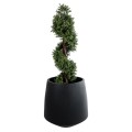 Τεχνητός Κήπος TIJUANA  Διακοσμητικό Πολυεστερικό Τσιμεντένιο Κασπώ Γλάστρα -  Μαύρο Φ65 x Υ65cm
