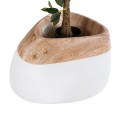 Τεχνητός Κήπος PANDORA  Επιδαπέδιο Πολυεστερικό Τσιμεντένιο Κασπώ Γλάστρα -  Λευκό με Καφέ Μ60 x Π55 x Υ43cm