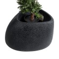 Τεχνητός Κήπος CHLOE  Επιδαπέδιο Πολυεστερικό Τσιμεντένιο Κασπώ Γλάστρα -  Μαύρο Μ60 x Π55 x Υ43cm