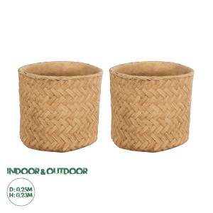 Τεχνητός Κήπος MEDRANO  ΣΕΤ 2 Διακοσμητικά Πολυεστερικά Τσιμεντένιά Κασπώ Γλάστρες - s Μπεζ A:Φ25 x Υ23cm B:Φ25 x Υ23cm