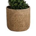 Τεχνητός Κήπος GIUSEPPE  Διακοσμητικό Πολυεστερικό Τσιμεντένιο Κασπώ Γλάστρα -  Καφέ Φ35 x Υ33cm