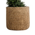 Τεχνητός Κήπος GIUSEPPE  Διακοσμητικό Πολυεστερικό Τσιμεντένιο Κασπώ Γλάστρα -  Καφέ Φ35 x Υ33cm