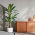 Τεχνητός Κήπος BANANA TREE  - Τεχνητό Διακοσμητικό Φυτό Μπανανιά - Μπανανόδεντρο Υ240cm