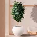 Τεχνητός Κήπος FICUS BENJAMINA TREE  Τεχνητό Διακοσμητικό Φυτό Φίκος Μπενζαμίνη Υ300cm