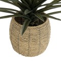 Τεχνητός Κήπος THASSOS  Διακοσμητικό Πλεκτό Κασπώ Γλάστρα -  Καφέ Φ28 x Υ26cm