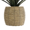Τεχνητός Κήπος THASSOS  Διακοσμητικό Πλεκτό Κασπώ Γλάστρα -  Καφέ Φ28 x Υ26cm