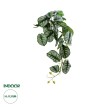 Τεχνητός Κήπος HANGING ALOCASIA  Τεχνητό Διακοσμητικό Κρεμαστό Φυτό Αλοκάσια Μ28 x Π27 x Υ50cm